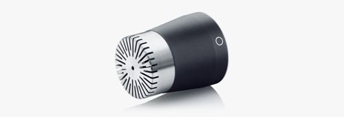DPA 4006 capsule