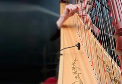 How to 话筒 a harp