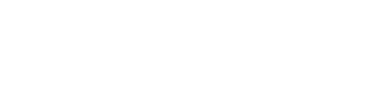 Voyage Audio