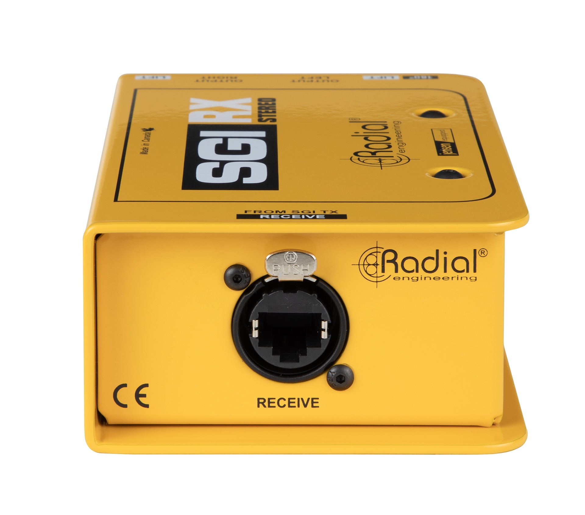 SGI Stereo RX input features