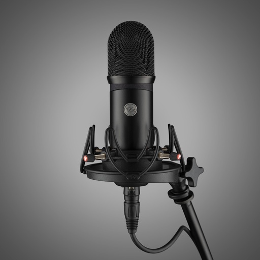 Voyage Audio SpatialMic-Dante